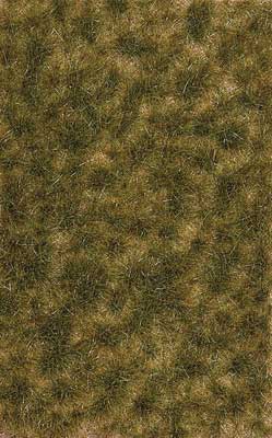 Black Forest® Hobby Supply Co Busch 3538 A Scale Grass Tuft Sheet -- 2-Color Long Late Summer Tufts 1/4" — All Scale Scenery