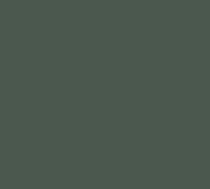Black Forest® Hobby Supply Co AK Interactive 11364 AFV Series: French Army Green 3G Acrylic Paint 17ml Bottle — Glues,