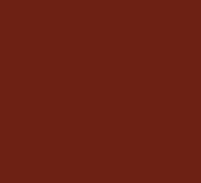 Black Forest® Hobby Supply Co AK Interactive 11328 AFV Series: Red Brown RAL8012 3G Acrylic Paint 17ml Bottle — Glues,