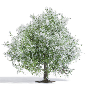Busch 3651 HO Scale Blossoming Apple Tree, Handmade