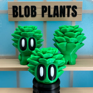 Succulent Blob Plant - Echo Six Hobbies