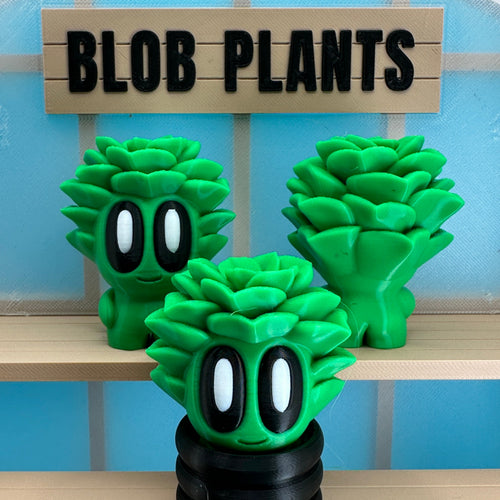 Succulent Blob Plant - Echo Six Hobbies