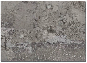 Black Forest® Hobby Supply Co Busch 7416 HO Scale Printed Surface Sheets pkg(2) Worn Asphalt — HO Scale Scenery > Busch