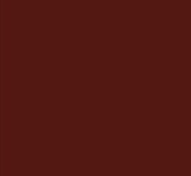 Black Forest® Hobby Supply Co AK Interactive 11329 AFV Series: Red Brown RAL8013 3G Acrylic Paint 17ml Bottle — Glues,