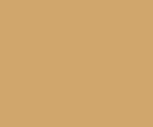 Black Forest® Hobby Supply Co AK Interactive 11363 AFV Series: French Army Desert Sand 3G Acrylic Paint 17ml B — Glues,