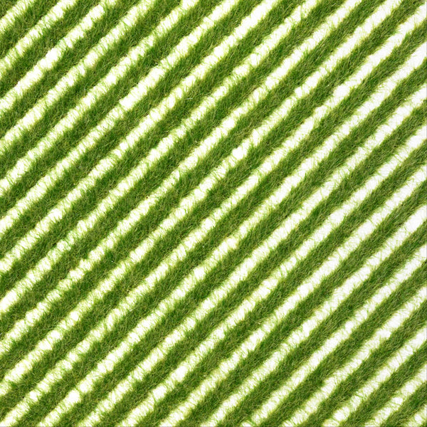 Busch 1342 All Scale Groundcover Grass Strips, Spring Grass