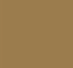 Black Forest® Hobby Supply Co AK Interactive 11302 AFV Series: WWI French Milky Coffee 3G Acrylic Paint 17ml B — Glues,