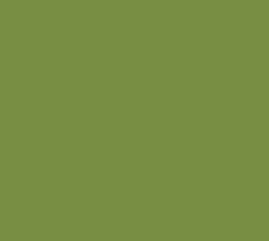 Black Forest® Hobby Supply Co AK Interactive 11411 Figures Series: Light Green 3G Acrylic Paint 17ml Bottle — Glues, Paints,