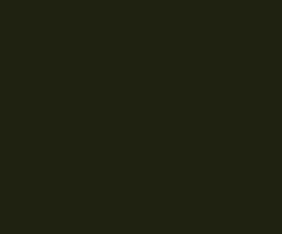 Black Forest® Hobby Supply Co AK Interactive 11387 AFV Series: 3B AU/ZB AU 3G Acrylic Paint 17ml Bottle — Glues, Paints,