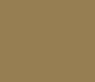 Black Forest® Hobby Supply Co AK Interactive 11370 AFV Series: Russian Sand 7K 3G Acrylic Paint 17ml Bottle — Glues, Paints,