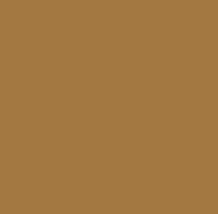 Black Forest® Hobby Supply Co AK Interactive 11326 AFV Series: Sand Brown RAL8031 F9 3G Acrylic Paint 17ml Bot — Glues,