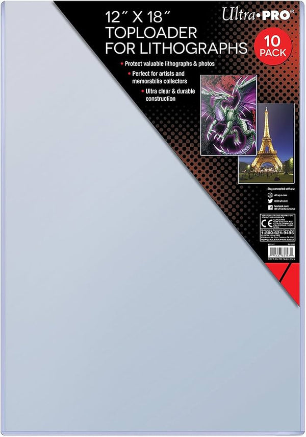 Back to the Future "Classic Movie Art" Limited Edition Commemorative Print (with protective toploader) - Echo Six Hobbies