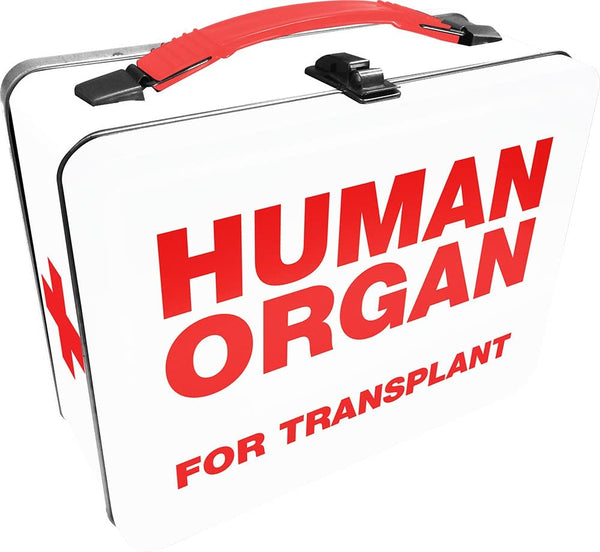 Aquarius Fun Boxes: Human Organ - Echo Six Hobbies