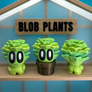 Succulent Blob Plant - Echo Six Hobbies