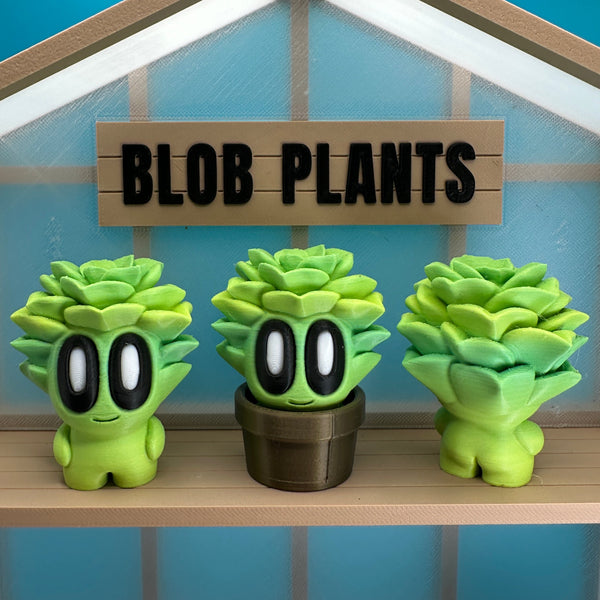 Succulent Blob Plant - Echo Six Hobbies