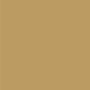 Black Forest® Hobby Supply Co AK Interactive 11325 AFV Series: Sand Beige RAL1039 F9 3G Acrylic Paint 17ml Bot — Glues,