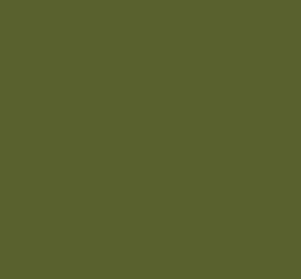 Black Forest® Hobby Supply Co AK Interactive 11428 Figures Series: Light Green Uniform 3G Acrylic Paint 17ml B — Glues,