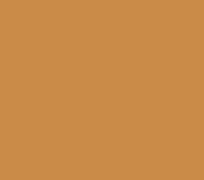 Black Forest® Hobby Supply Co AK Interactive 11409 Figures Series: Orange Tan 3G Acrylic Paint 17ml Bottle — Glues, Paints,