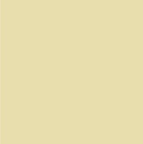 Black Forest® Hobby Supply Co AK Interactive 11333 AFV Series: Cream White 3G Acrylic Paint 17ml Bottle — Glues, Paints,