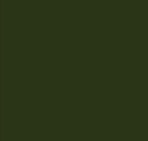 Black Forest® Hobby Supply Co AK Interactive 11346 AFV Series: Forest Green FS34079 3G Acrylic Paint 17ml Bott — Glues,