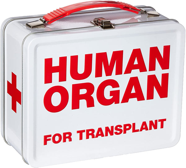 Aquarius Fun Boxes: Human Organ - Echo Six Hobbies