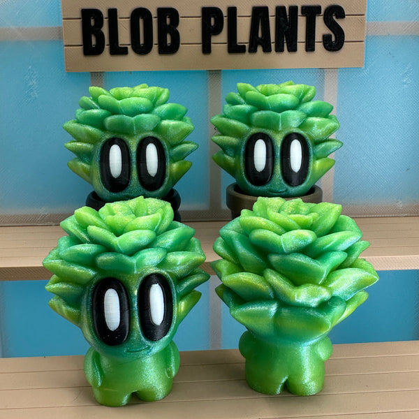 Succulent Blob Plant - Echo Six Hobbies
