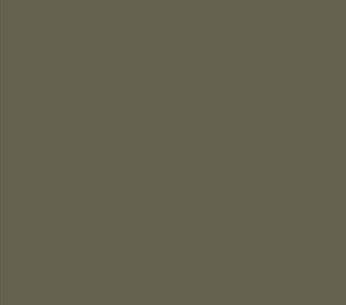 Black Forest® Hobby Supply Co AK Interactive 11307 AFV Series: Light Grey RAL7009 3G Acrylic Paint 17ml Bottle — Glues,