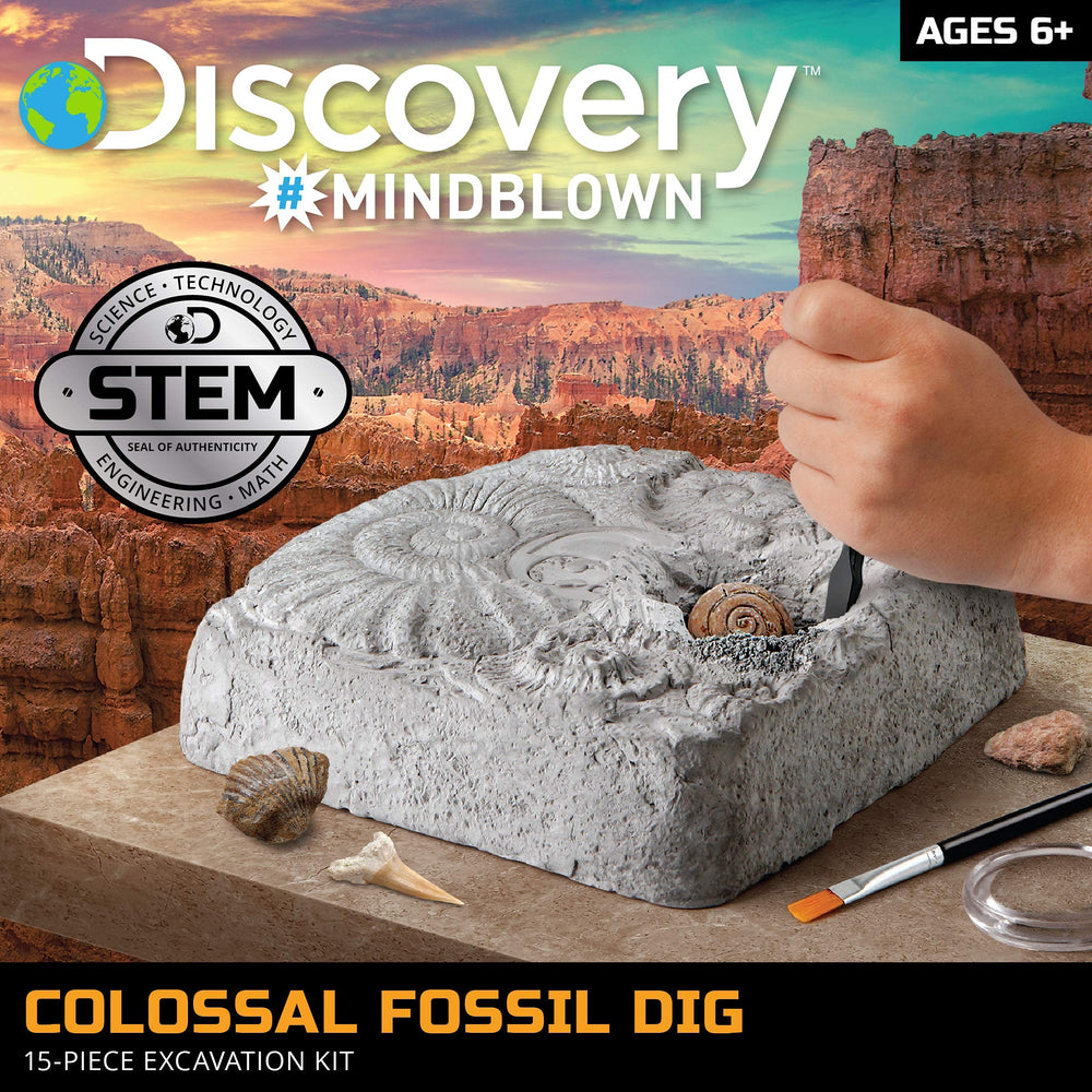 Discovery #MINDBLOWN,Colossal Fossil Dig | 15-Piece Archeology Excavation Kit - Echo Six Hobbies