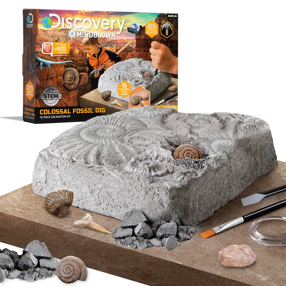 Discovery #MINDBLOWN,Colossal Fossil Dig | 15-Piece Archeology Excavation Kit - Echo Six Hobbies