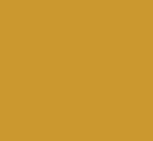 Black Forest® Hobby Supply Co AK Interactive 11366 AFV Series: Mustard Yellow 3G Acrylic Paint 17ml Bottle — Glues, Paints,