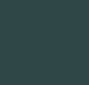 Black Forest® Hobby Supply Co AK Interactive 11365 AFV Series: French Army Grey Blue 3G Acrylic Paint 17ml Bot — Glues,