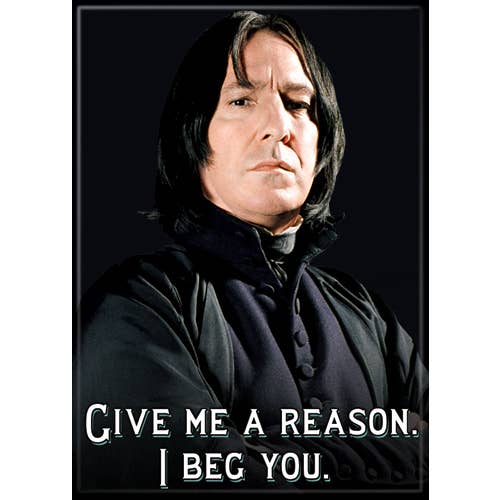 Little Shop of Magic Harry Potter: Snape I Beg You Magnet — Toys and Collectible