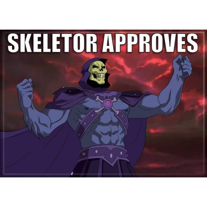 Masters of the Universe: Skeletor Approves Magnet