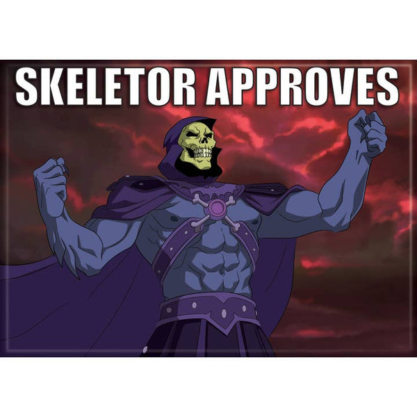 Masters of the Universe: Skeletor Approves Magnet