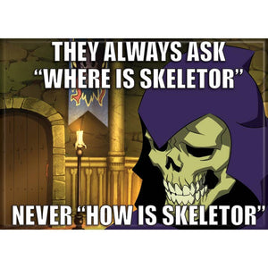Masters of the Universe: Never How is Skeletor Magnet