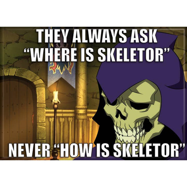 Masters of the Universe: Never How is Skeletor Magnet