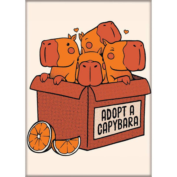 Little Shop of Magic Tobe Fonseca: Adopt A Capybara Magnet — Toys and Collectible