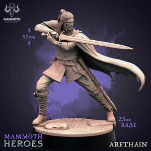Arethain, Lothrian Swordmaster – Human Fighter Male Miniature