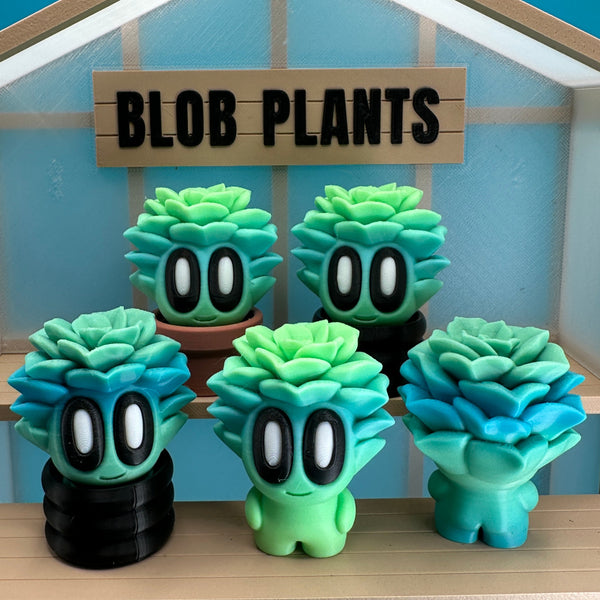 Succulent Blob Plant - Echo Six Hobbies