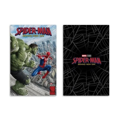 Two Spider-Man comic book covers shown side by side on a white background. The left cover features Spider-Man and the Hulk in an action scene above a city skyline, with the title 'SPIDER-MAN BRAND NEW DAY' at the top.
