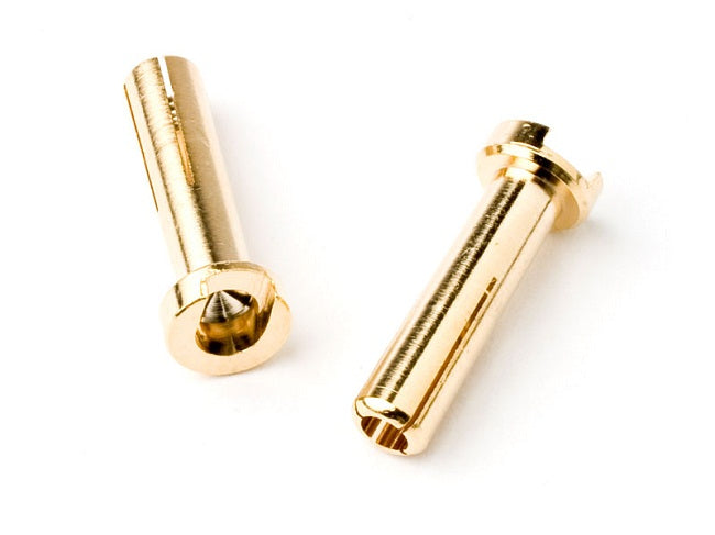 Two gold metal bullet connectors on a white background