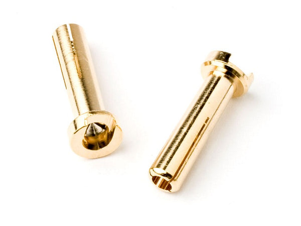 Two gold metal bullet connectors on a white background