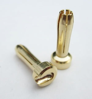 Two gold metal pins on a white background
