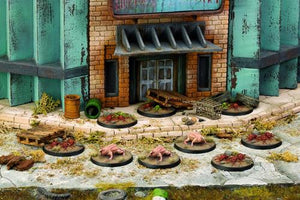 Little Shop of Magic Fallout: Wasteland Warfare - Creatures - Wasteland Vermin — Miniatures