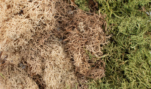 Woodland Scenics G6500 All Game Terrain EZ Bushes Winter Mix