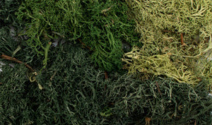 Woodland Scenics G6501 All Game Terrain EZ Bushes Summer Mix