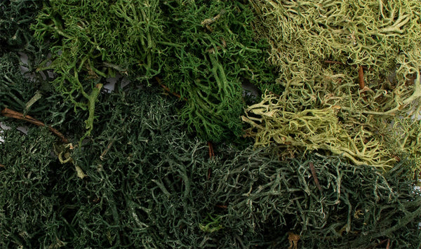 Woodland Scenics G6501 All Game Terrain EZ Bushes Summer Mix