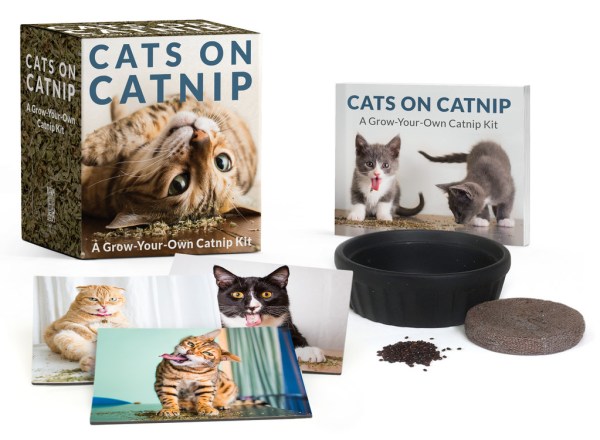 Little Shop of Magic RP Minis: Cats on Catnip - A Grow-Your-Own Catnip Kit — Toys and Collectible