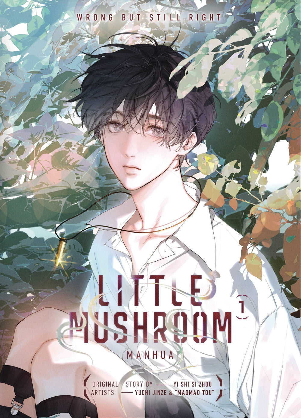 LITTLE MUSHROOM MANHUA HC VOL 01 (C: 0-1-2) - Echo Six Hobbies