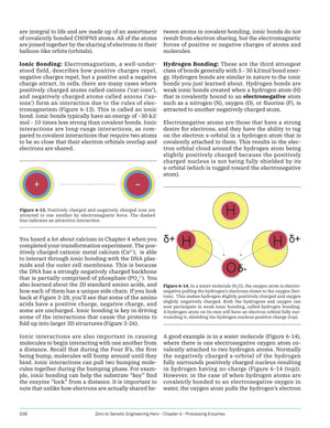 Maker Shed Make: Zero to Genetic Engineering Hero - PDF — Book